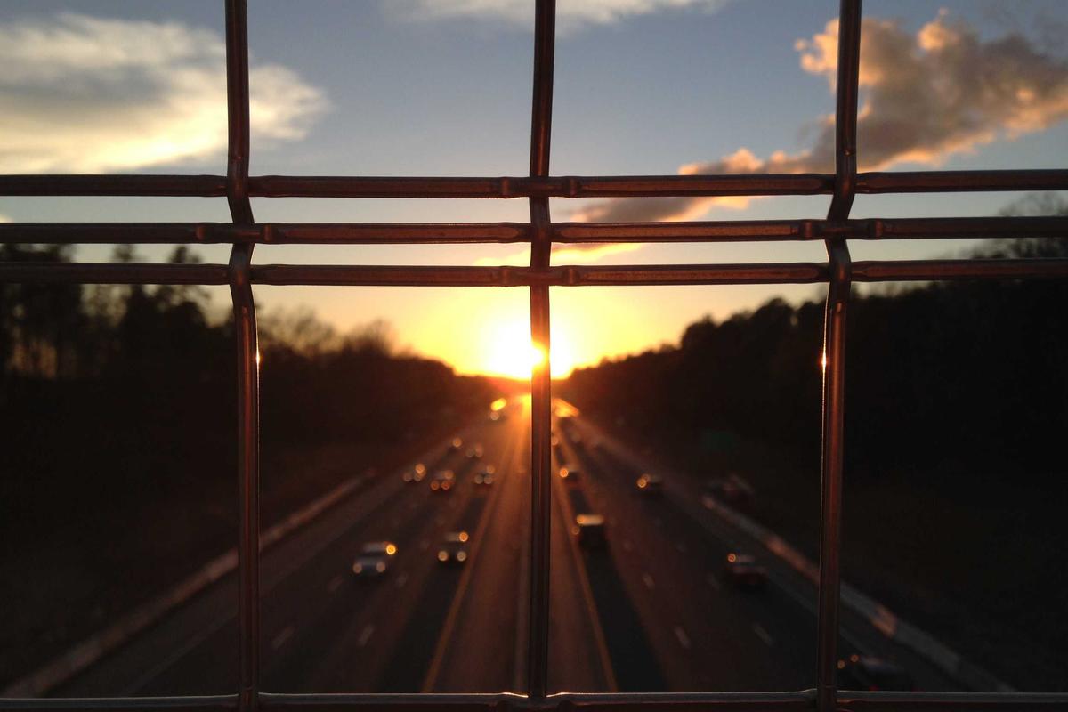 Panduan Dasar Hosting Website untuk Pemula